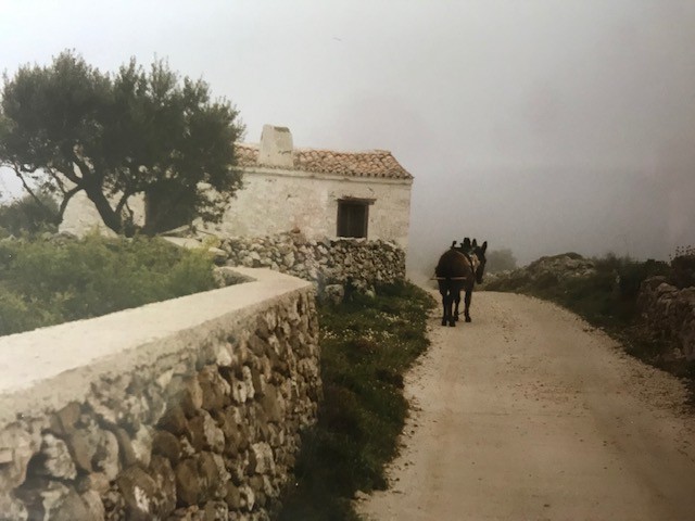 Auf dem Weg zum Lastos 1990.jpg