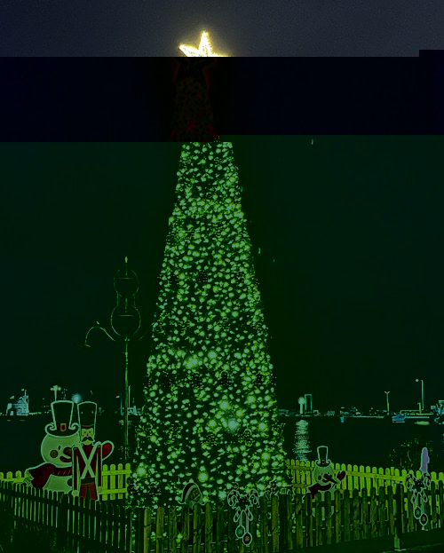 weihnachtsbaum2025k.jpg